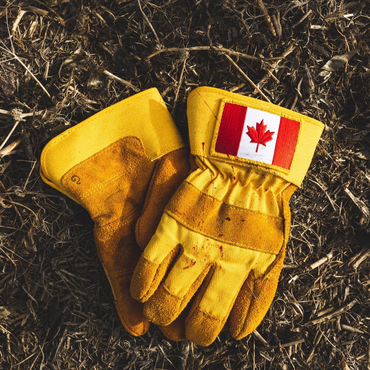 canada handschuhe NORWAY GLOVES S