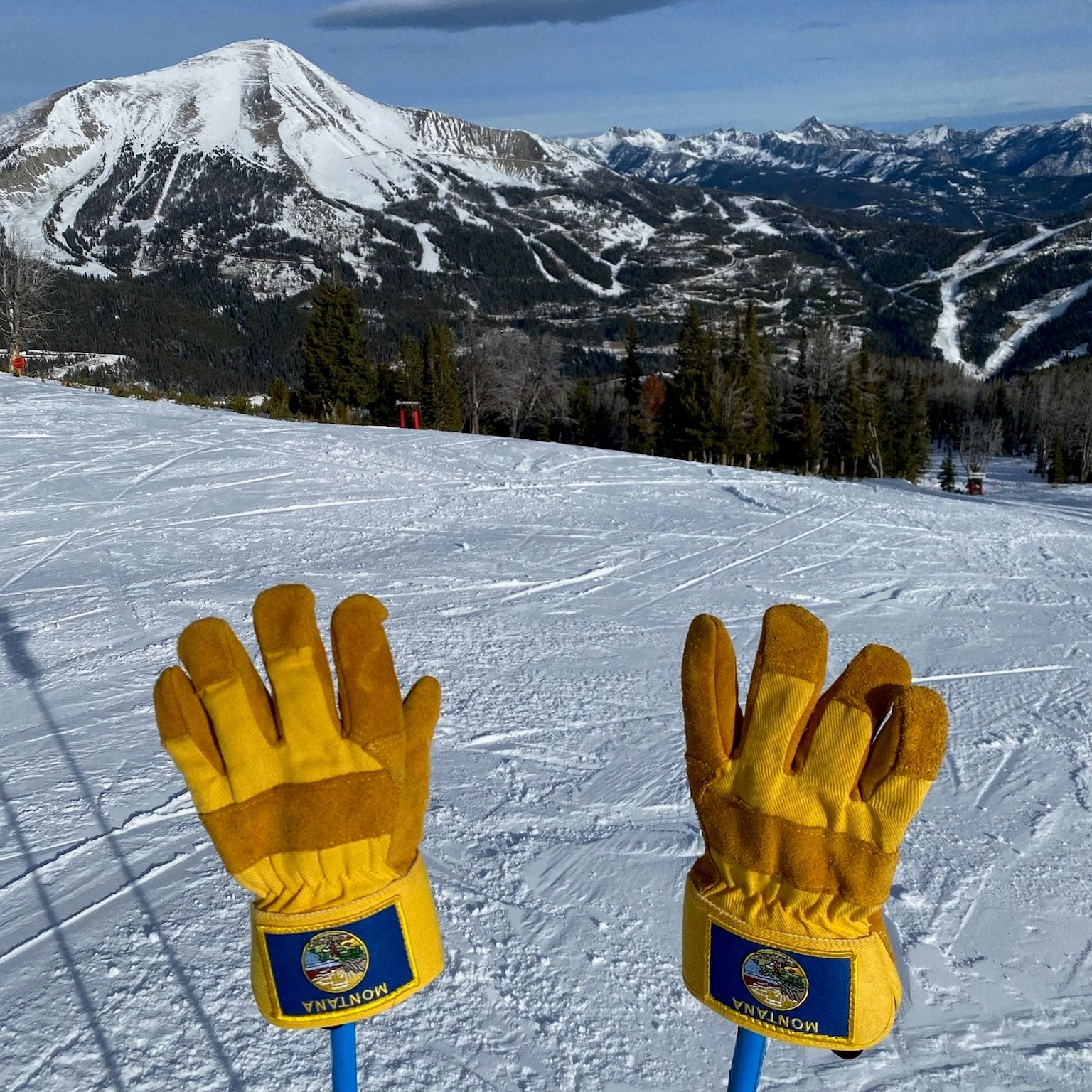 montana handschuhe MONTANA GLOVES L