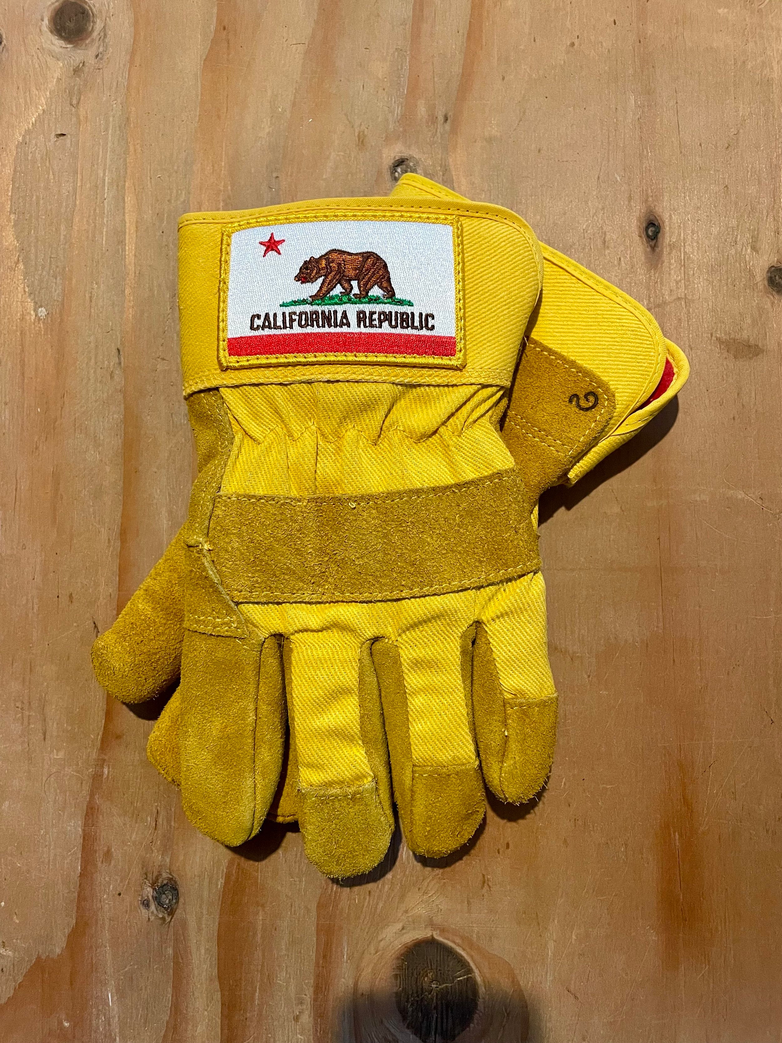 CALIFORNIA GLOVES