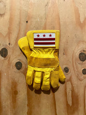 WASHINGTON, D.C. GLOVES