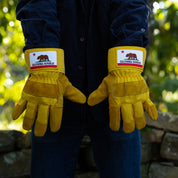 CALIFORNIA GLOVES