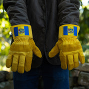 PHILADELPHIA GLOVES
