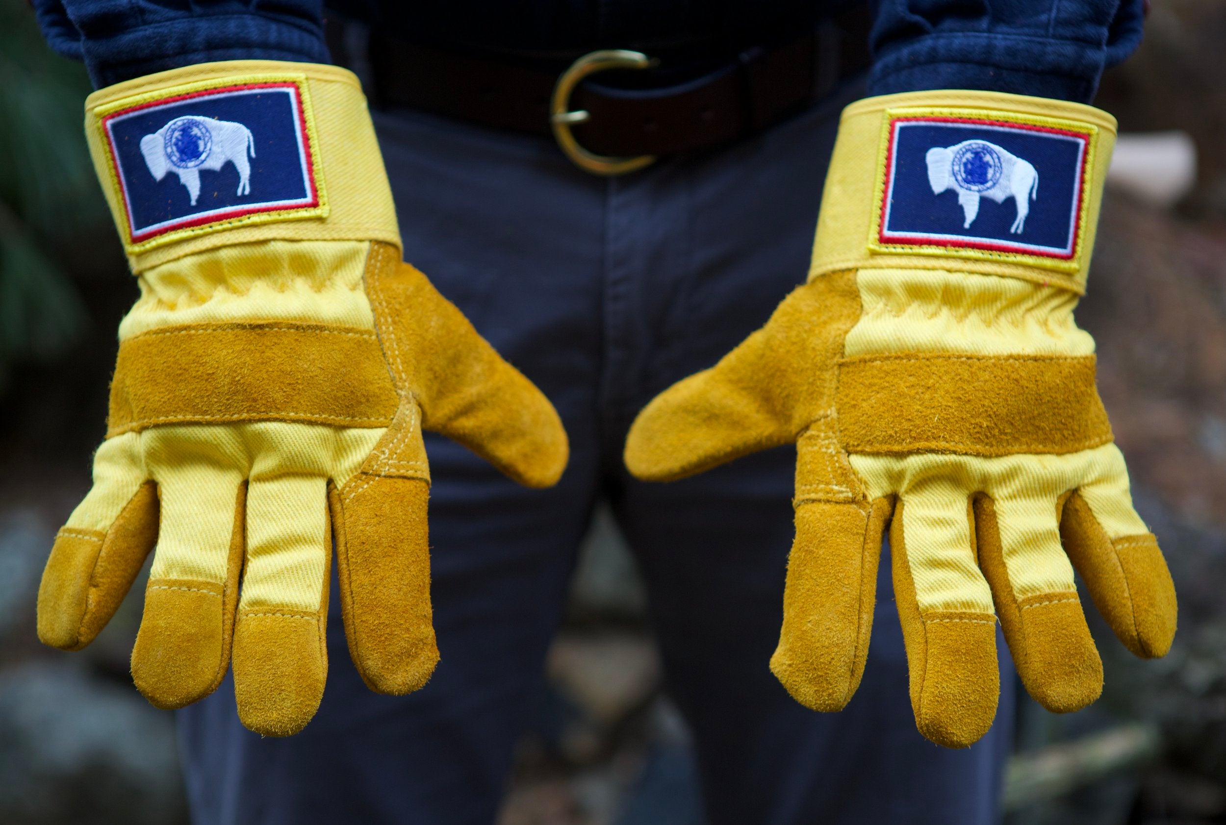 WYOMING GLOVES