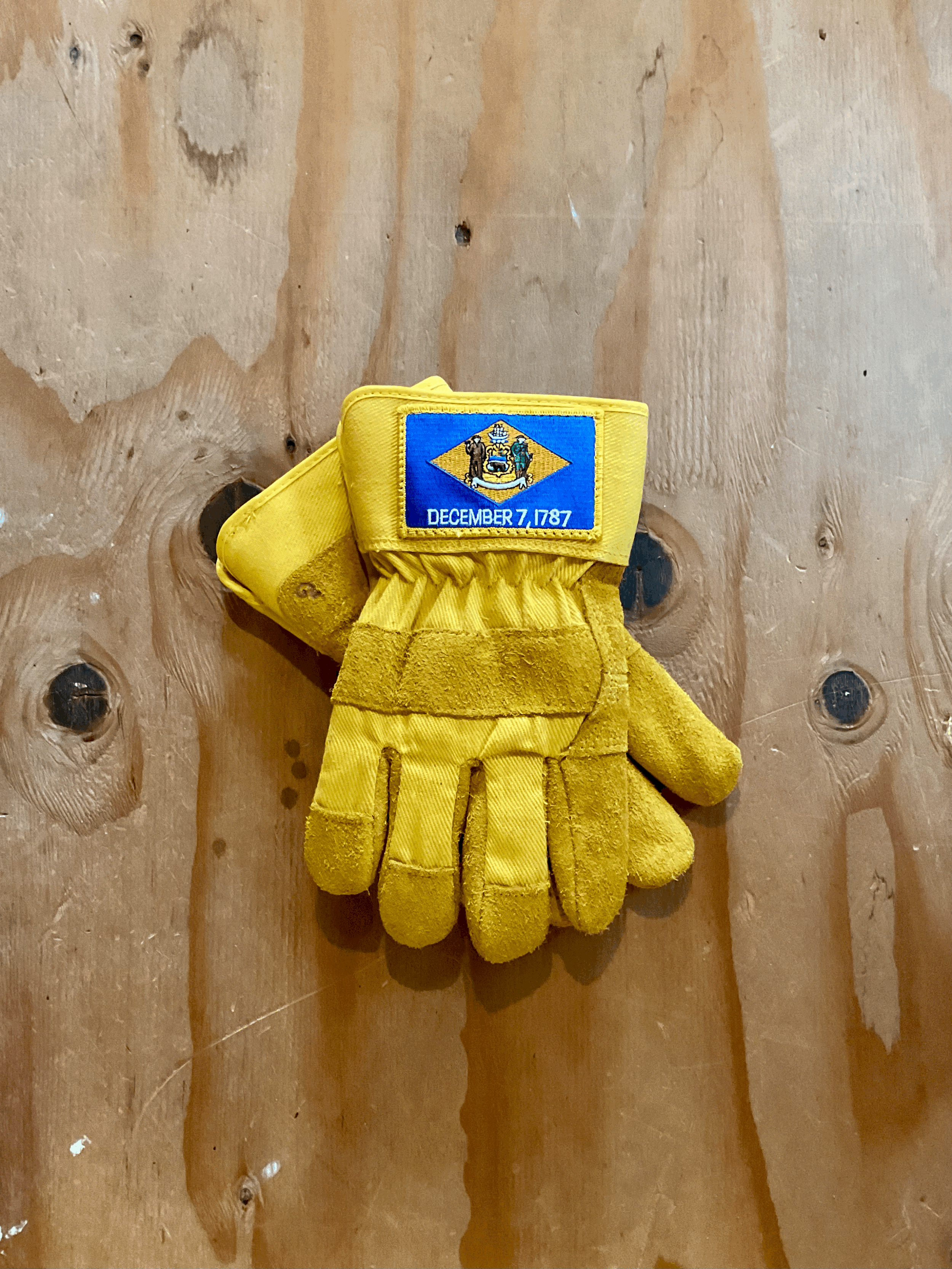 DELAWARE GLOVES